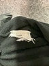 MNG Black Long Sleeve T-Shirt Size XS - photo 8