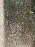 Ann Taylor Black Long Sleeve Top Size XS - photo 8
