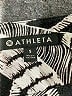 Athleta Graphic Gray Cocktail Dress Size S - photo 7