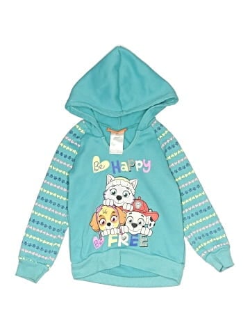 Nickelodeon Pullover Hoodie (view 1)
