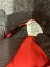 Peace of Cloth Red Active Pants Size XS - photo 5