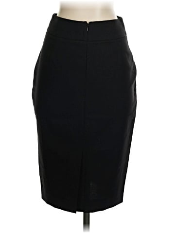 Chaiken and Capone Wool Skirt (view 2)