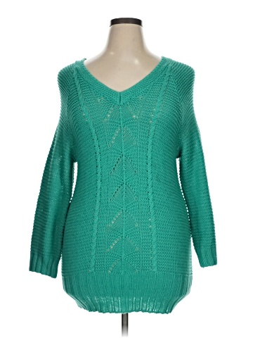 Fashion Bug Pullover Sweater (view 1)