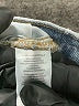 Ann Taylor LOFT Hearts Blue Jeans Size 29 waist - photo 8