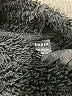 Shein Black Cardigan Size 4 - photo 7