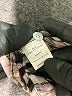 Fig and Flower 100% Polyester Brown Casual Dress Size L - photo 8