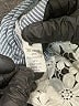 Young Essence Blue 3/4 Sleeve T-Shirt Size M - photo 8