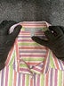 Foxcroft Stripes Pink Long Sleeve Button-Down Shirt Size 14 - photo 4