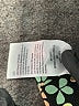Serra Floral Green Casual Pants Size XL - photo 8