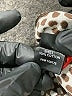 Nina Mclemore 100% Cotton Animal Print Brown Ivory Jacket Size 6 - photo 7