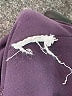 Athleta Purple Active Pants Size M - photo 6