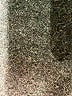 Calvin Klein Solid Gray Tan Casual Skirt Size 8 - photo 6