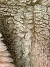 Assorted Brands 100% Polyester Brown Coat Size XS - photo 6