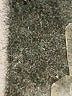 Lululemon Athletica Gray Active Pants Size 6 - photo 8