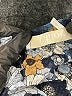 Chloé Floral Blue 3/4 Sleeve Blouse Size EU (FR) 36 / US 4 - photo 13