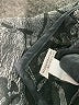 Harubella Paisley Gray Coat Size 2X (estimated) - photo 7