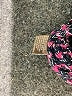 J. McLaughlin Purple Blazer Size L - photo 7