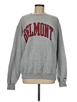 Champion Sweatshirt (view 1)