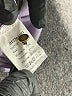 Shein Purple Cardigan Size 6 - photo 8