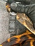 Agnes & Dora Brown Cardigan Size L - photo 8