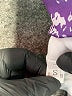 Unbranded Purple Pullover Hoodie Size S - photo 7