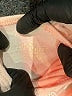 Mini Boden Gold Long Sleeve Onesie Size 0-3 mo - photo 3