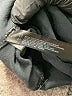 FP Movement Black Active Pants Size XS - photo 8
