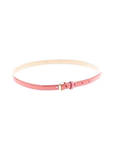 Talbots Belt (view 1)