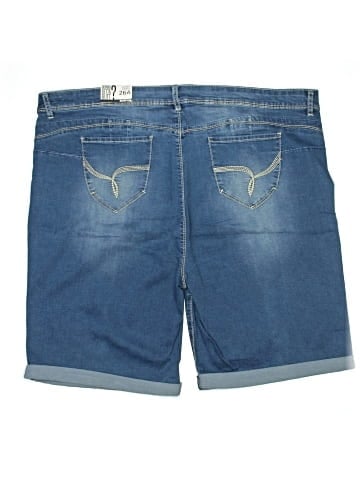 Avenue Denim Shorts (view 2)