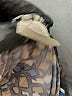 Assorted Brands Animal Print Blue Cocktail Dress Size L - photo 5