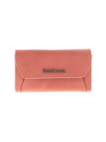 Enzo Angiolini Wallet (view 1)