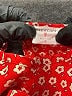 Crewcuts Polka Dots Red 3/4 Sleeve Blouse Size S (kids) - photo 4