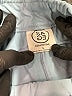 Sage Collective Solid Blue Casual Pants Size S - photo 4