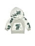 Unbranded Silver Green Pullover Hoodie Size 70 cm / US 6-9 MO - photo 1