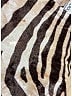 Dolce & Gabbana Animal Print Tan Scarf One size - photo 4