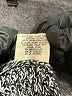 Essentials by Full Tilt 100% Acrylic Gray Pullover Sweater Size M - photo 8