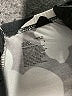 Stars Above Floral Ivory Shorts Size S - photo 4