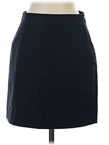 Everlane Casual Skirt (view 1)