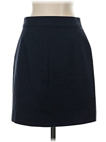 Everlane Casual Skirt (view 2)