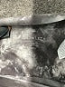 Athleta Gray Active Pants Size XXS - photo 7