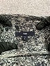 Gap Tweed Silver Turtleneck Sweater Size S - photo 7