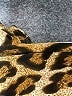 Unbranded Animal Print Gold Swimsuit Top Size L (estimated) - photo 3