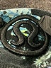 Lululemon Athletica Print Black Track Jacket Size 4 - photo 6
