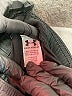 Under Armour 100% Polyester Graphic Black Athletic Shorts Size 4 (estimated) - photo 3