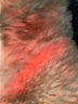 1937 Tan Scarf One size - photo 3