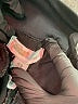 Gap - Maternity Black Active Pants Size 4 - photo 6