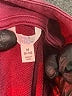 Time and Tru Burgundy Pullover Sweater Size 8 - 10 - photo 7