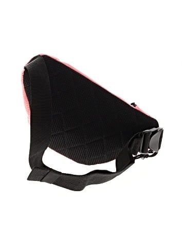 Jansport Belt Bag (view 2)