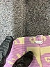 Rip Curl Purple Swimsuit Bottoms Size XXL (estimated) - photo 3