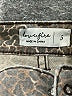 Love, Fire Tweed Brown Jeans Size 5 - photo 7